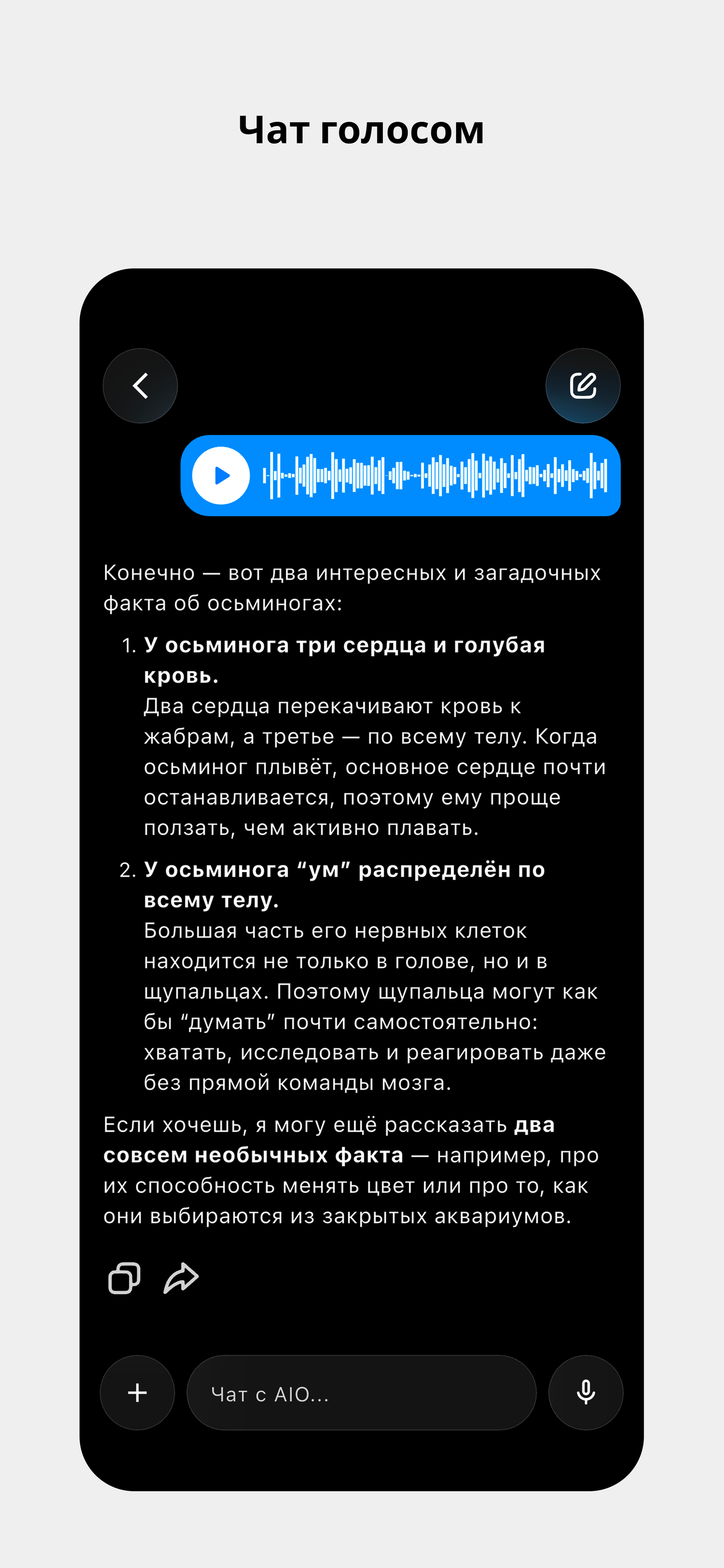 Экран 5